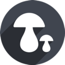 I can , 蘑菇付费翻墙app